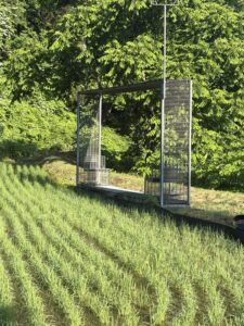 「米の家」の建築的なアート作品
