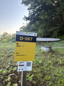 大地の芸術祭「融」柳澤紀子作品の円盤オブジェ