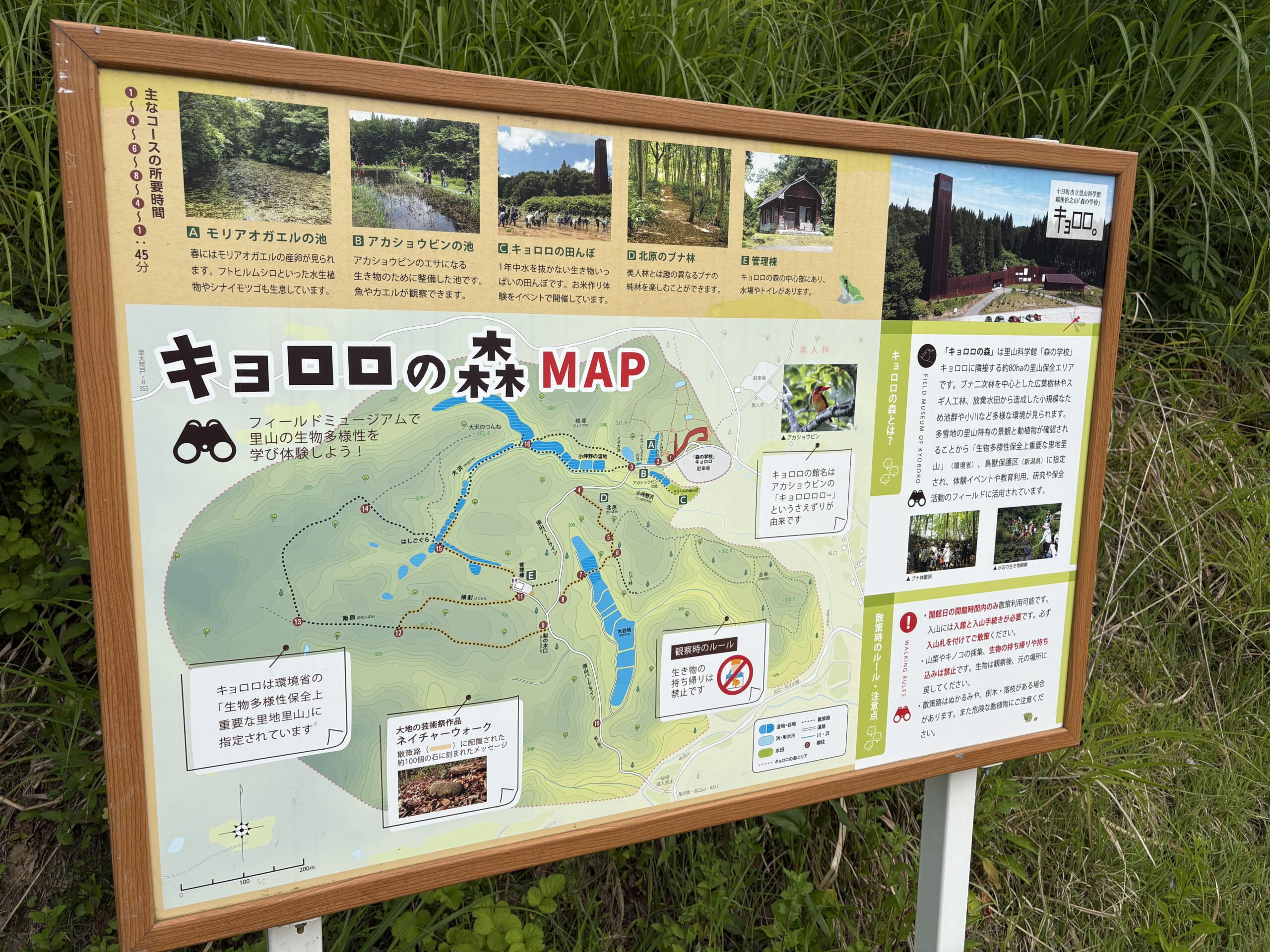 キョロロの森の散策マップ看板
